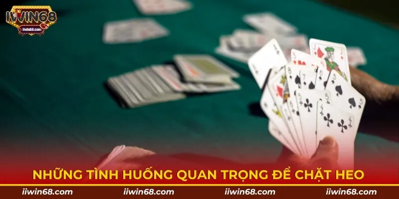 Những tình huống quan trọng để chặt heo